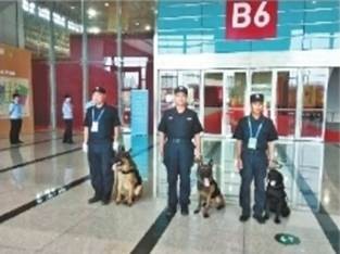 注明: http://cjrb.cjn.cn/images/2020-01/09/10/%E5%9B%BE%E7%89%877_b.jpg
